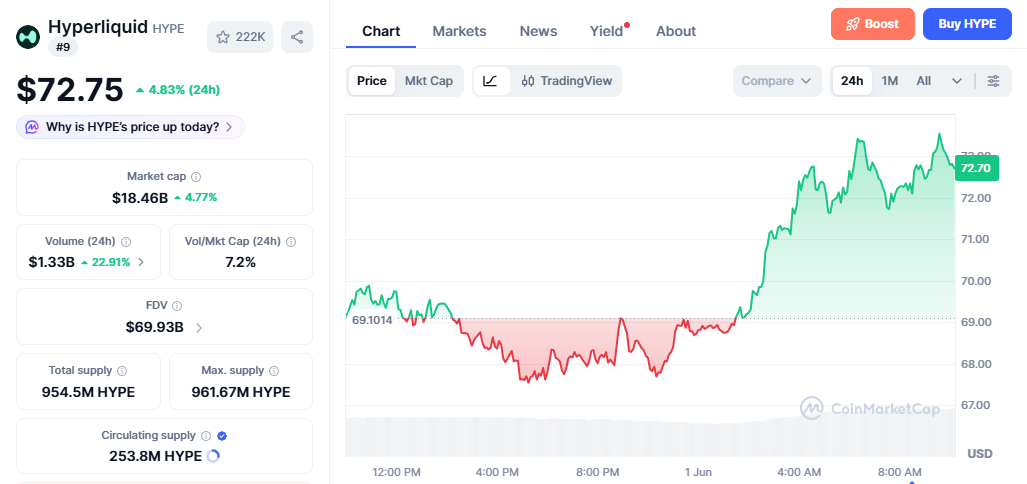 HYPE/USD price chart today HYPE/USD price chart today