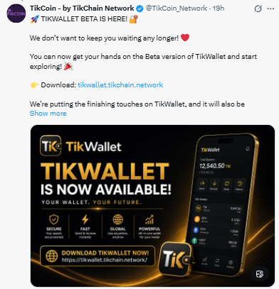 TikWallets beta is now available