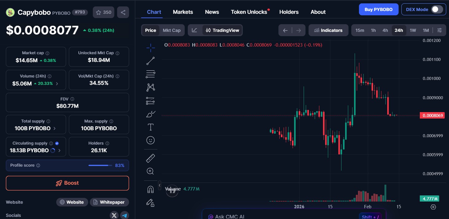 Capybobo Price Today & Market Capybobo Price Today & Market