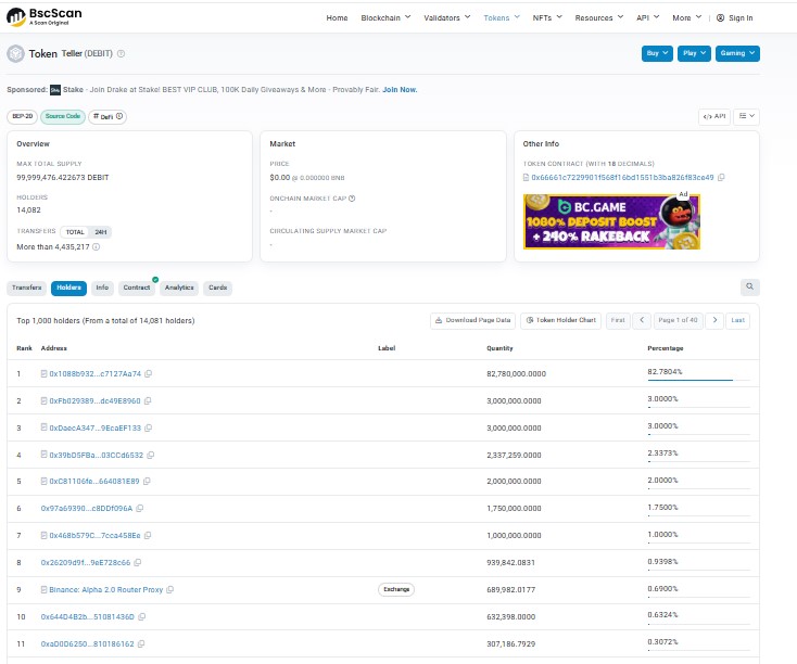 on-chain holder data from BscScan token page shows on-chain holder data from BscScan token page shows