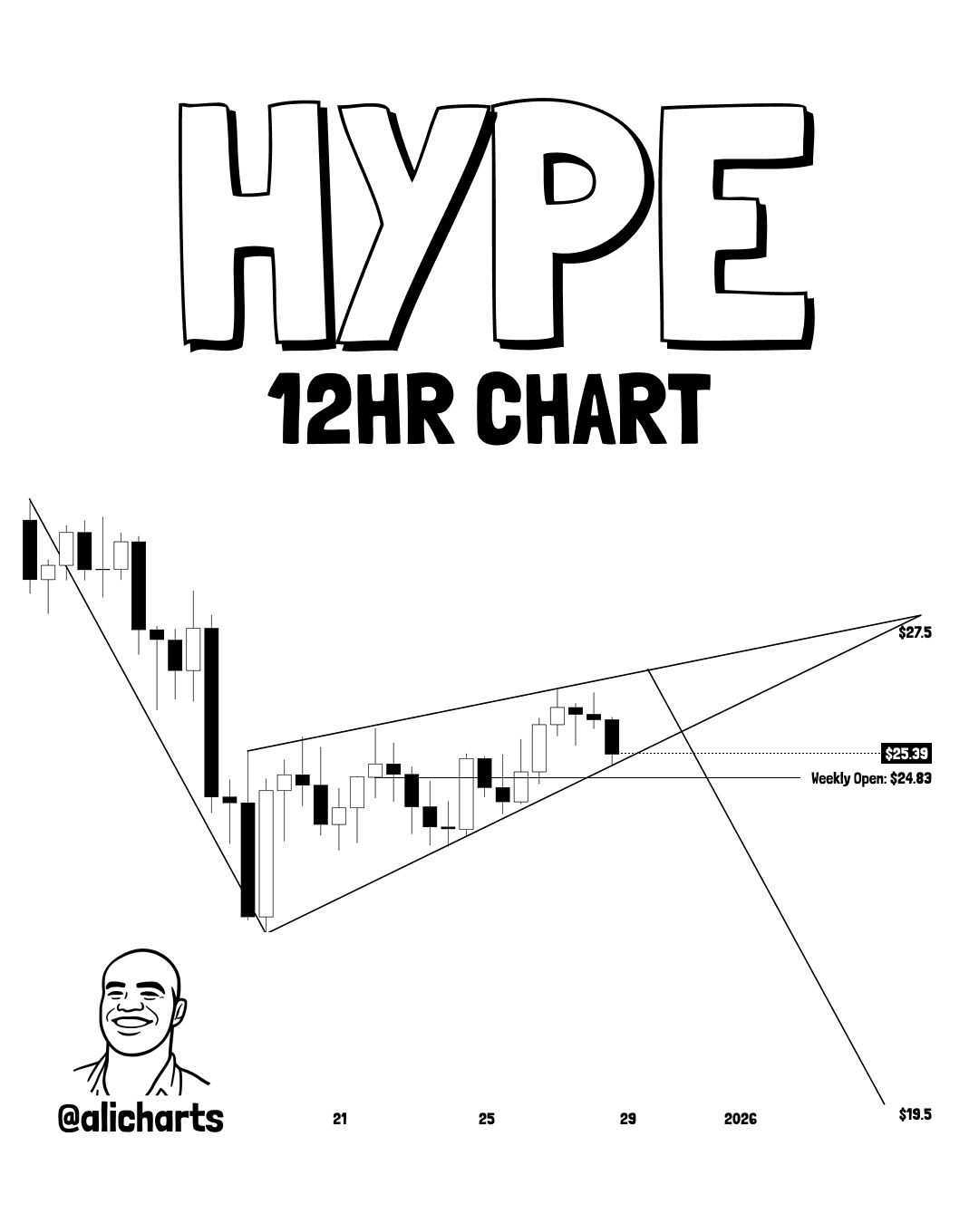 HYPE 12 HOUR CHART