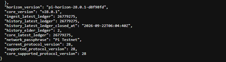 Pi Network Protocol 28