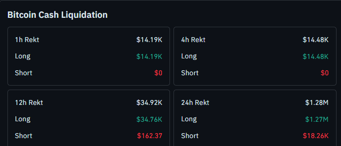BCH Liquidation Data
