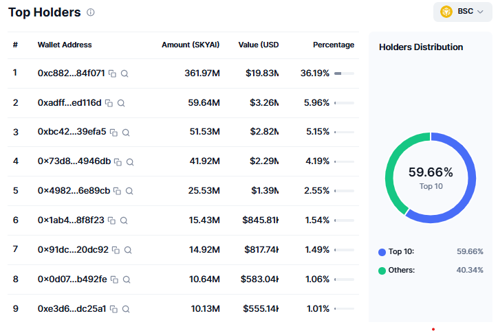 The largest SKYAI wallet on BSC 