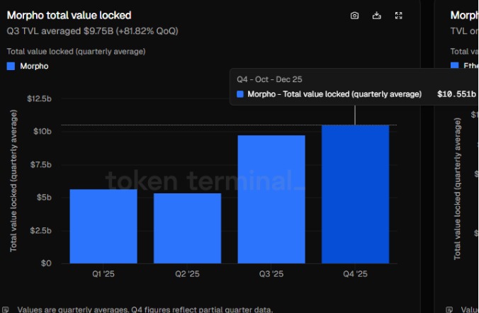 Morpho total value locked Morpho total value locked