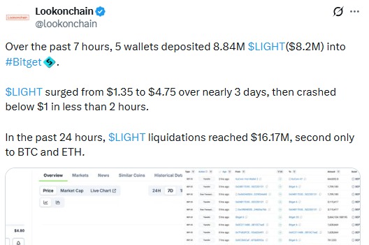 Bitlight liquidations onchain data