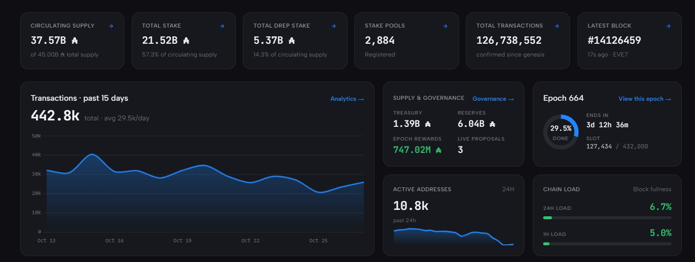 on Cardanoscan network stats