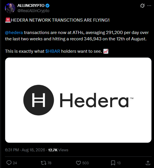 Hedera Network Activity