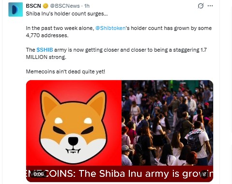 Shiba Inu (SHIB) News Today Shiba Inu (SHIB) News Today