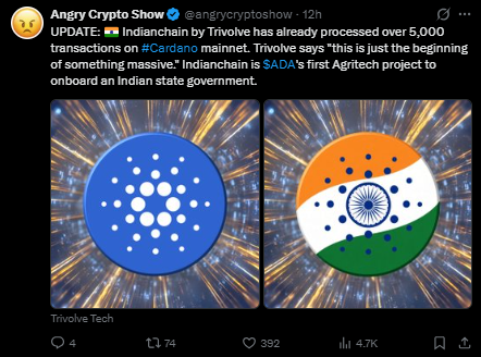 Cardano News Today Latest
