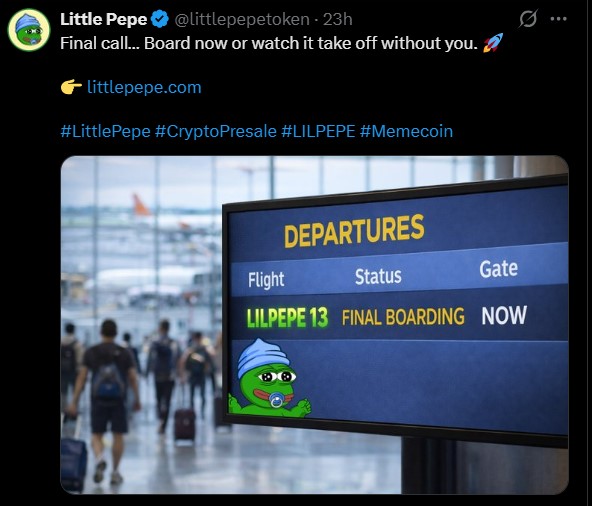 Little Pepe Presale Update