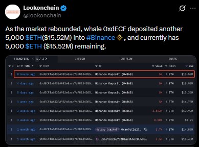whale 0xdECF deposited 5,000 ETH whale 0xdECF deposited 5,000 ETH