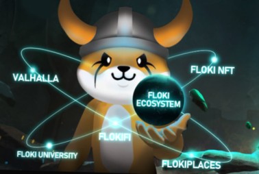 radmap valhalla and NFT Demand radmap valhalla and NFT Demand