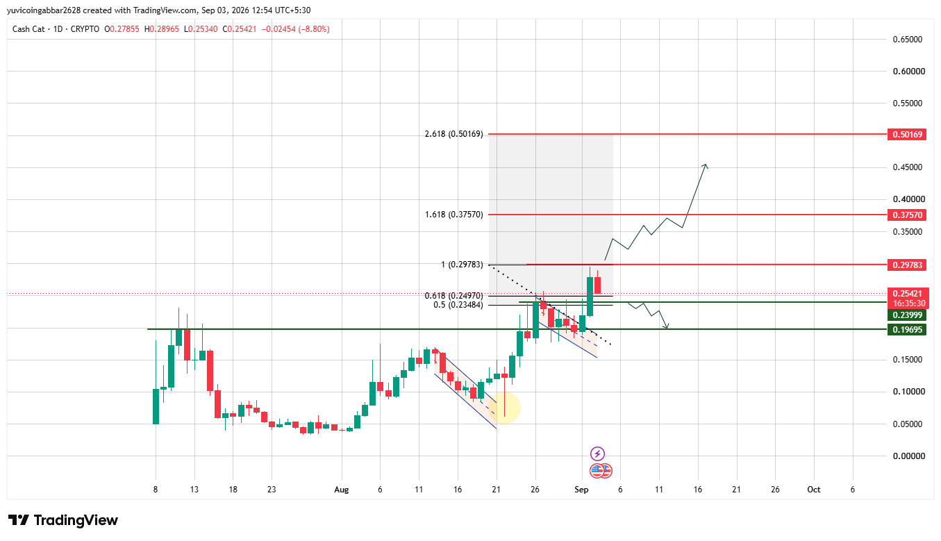 CASHCAT Chart Analysis