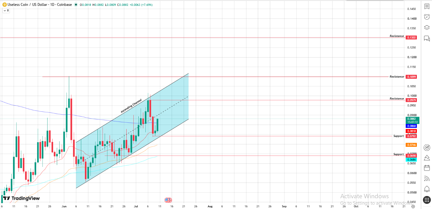 Bigger Picture For Uselesscoin Bigger Picture For Uselesscoin