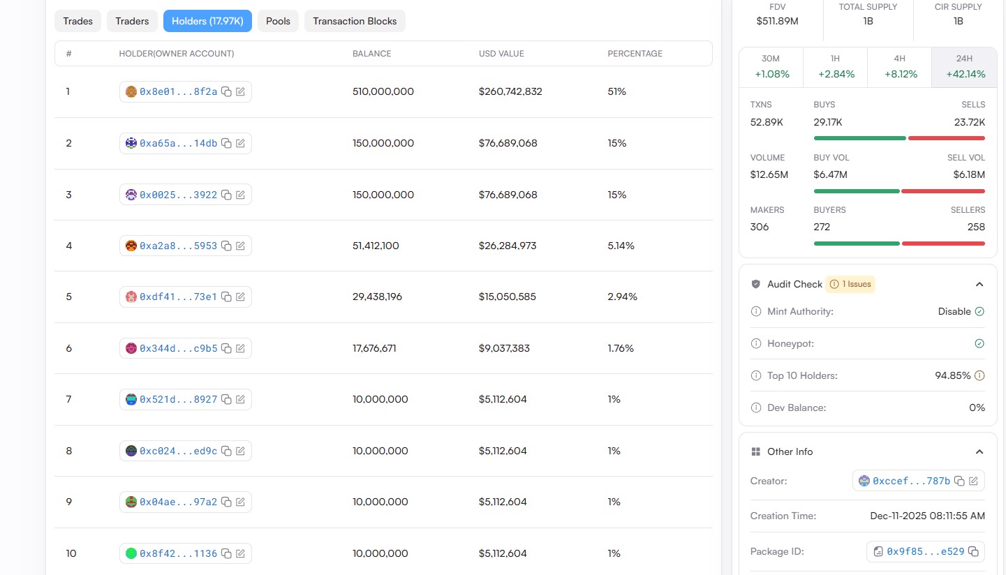 On-chain holder data on SuiVision On-chain holder data on SuiVision