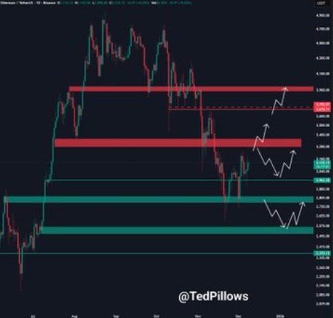 TedPillows TedPillows