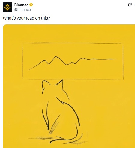 binance wiki cat listing rumor