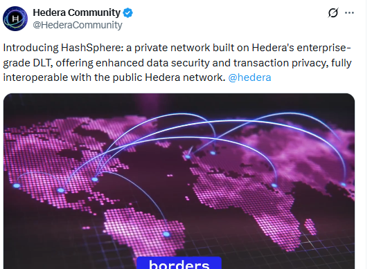 the public Hedera network.