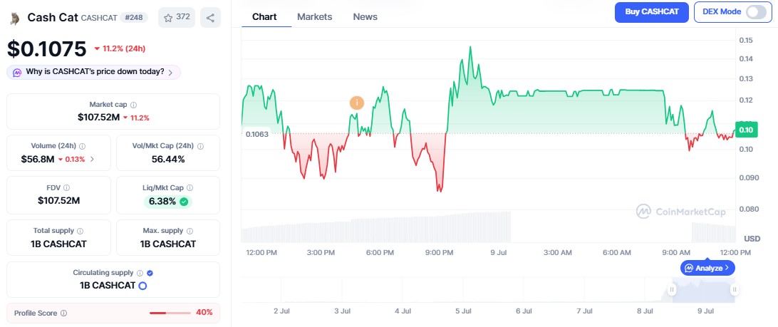 Cash Cat price today Cash Cat price today