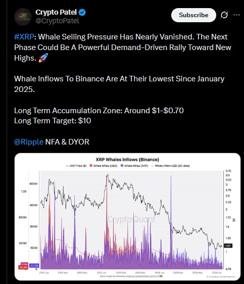 XRP Whale Movement XRP Whale Movement