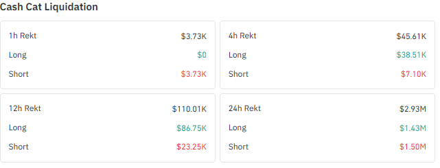 Cash Cat liquidation data showing long and short liquidations