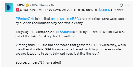 SIREN whale concentration data showing 88 percent supply in one wallet cluster