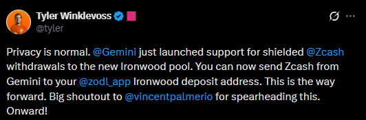 Gemin Privacy Tweet