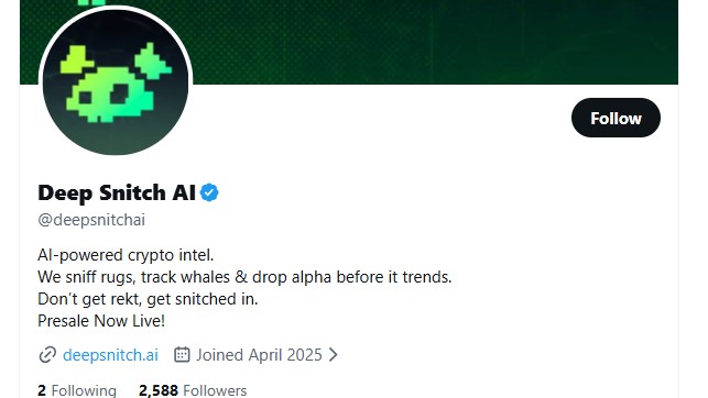 DeepSnitch AI Official X Account