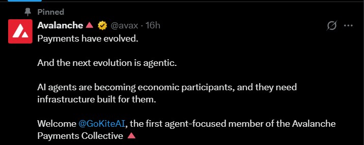 Avalanche Payments Collective Adds an AI-Agent Partner Avalanche Payments Collective Adds an AI-Agent Partner