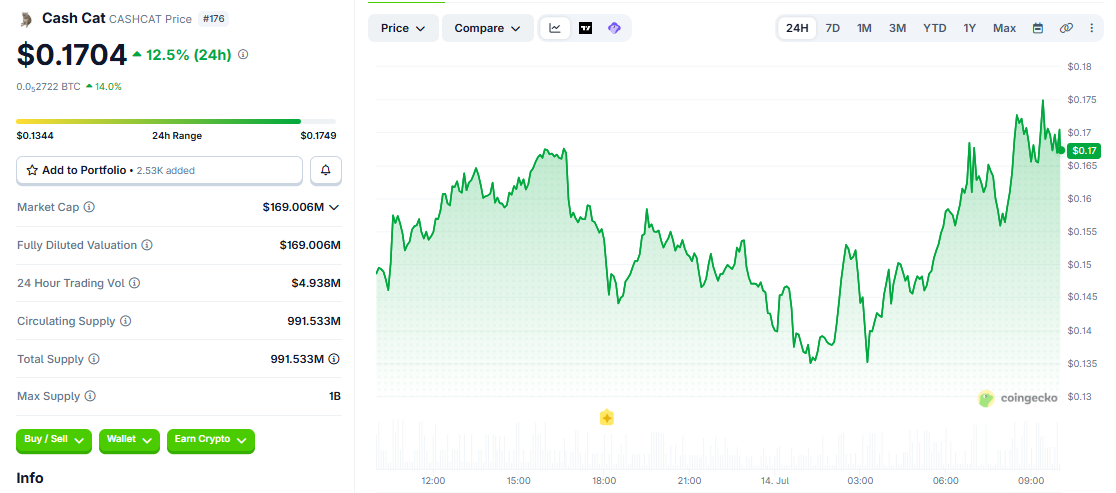 CASHCAT/USD price chart today CASHCAT/USD price chart today