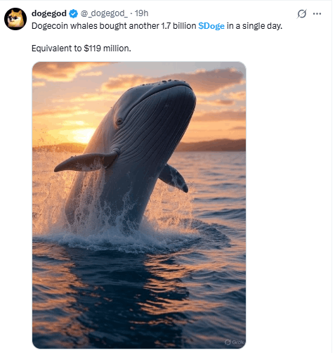 $DOGE News Sentiment Today $DOGE News Sentiment Today