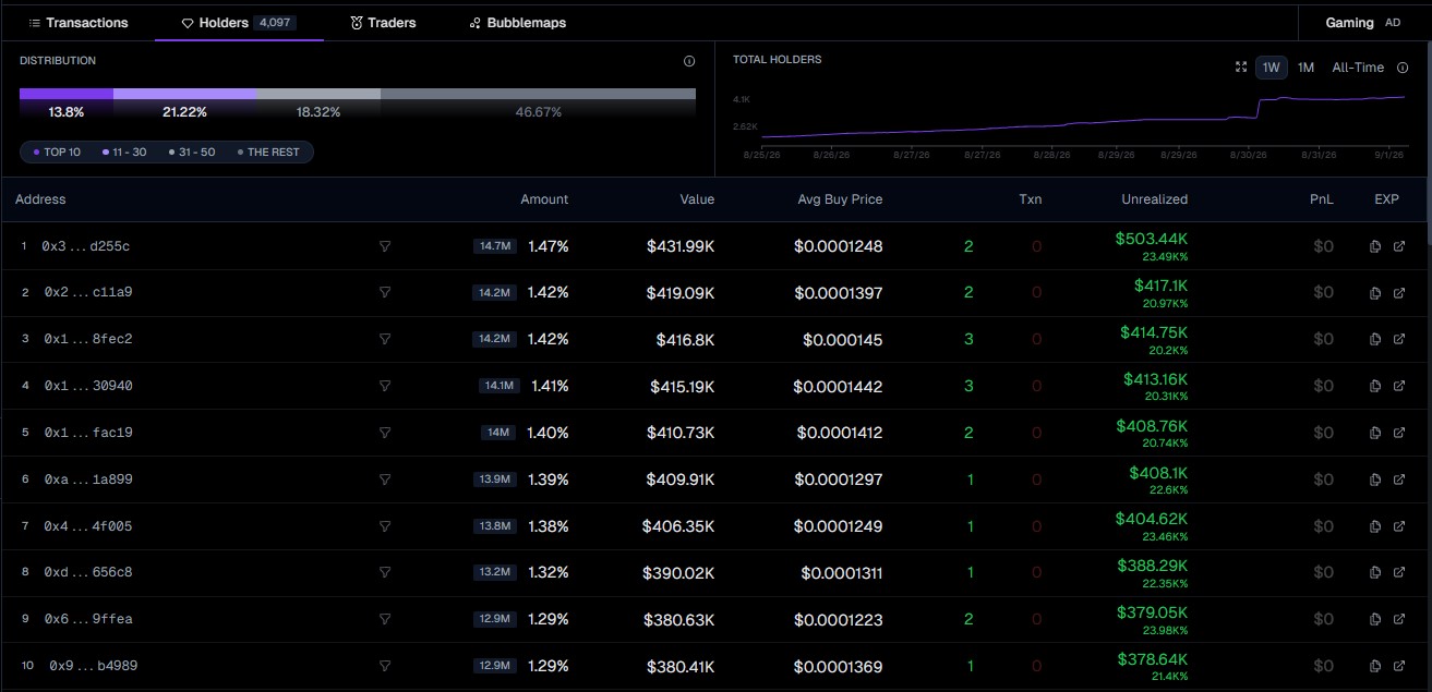  the top 10 wallets 