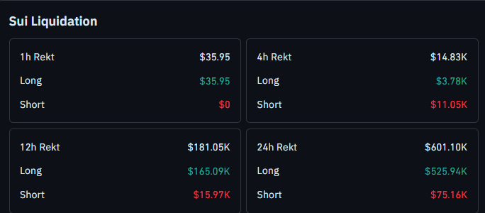 SUI Liquidation Data