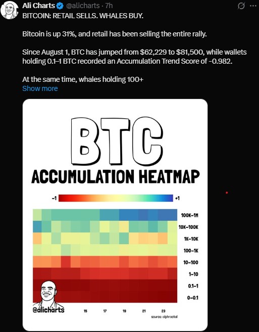 Bitcoin Whales Are Buying While Retail Sells