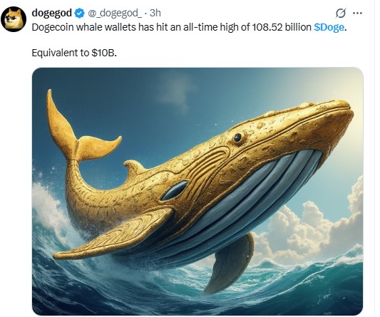 Whale Holdings Hits a Record High