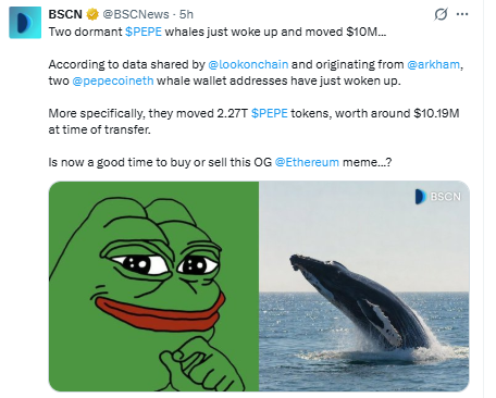 Pepe News Today Analysis Pepe News Today Analysis