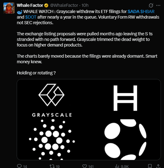 Cardano latest news on x