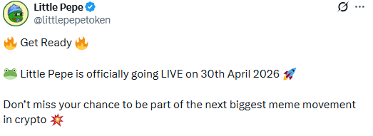 little pepe launch date