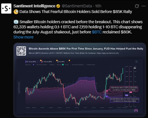 Data shows 62,335 wallets holding 0.1 to 1 BTC vanished Data shows 62,335 wallets holding 0.1 to 1 BTC vanished