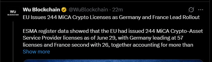 EU MiCA Crypto License 