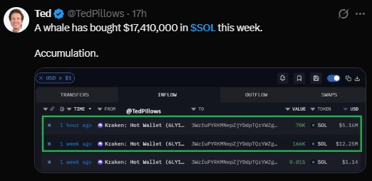 whale pulled $17.41 million worth of SOL from Kraken