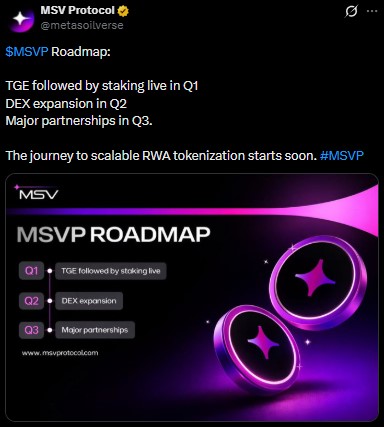 MSVP Coin Roadmap