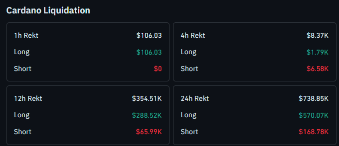 Cardano liquidation data latest