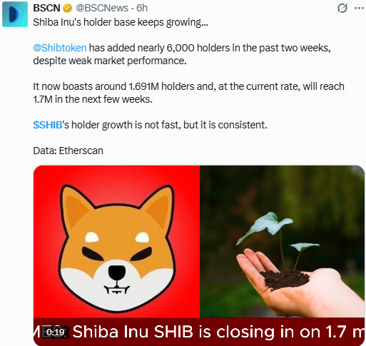 Shiba Inu News Today: Holder Base Keeps Growing Shiba Inu News Today: Holder Base Keeps Growing