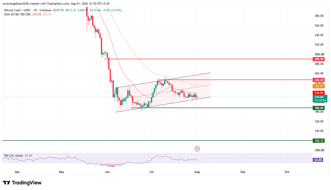 BCH Long Term Technical Analysis