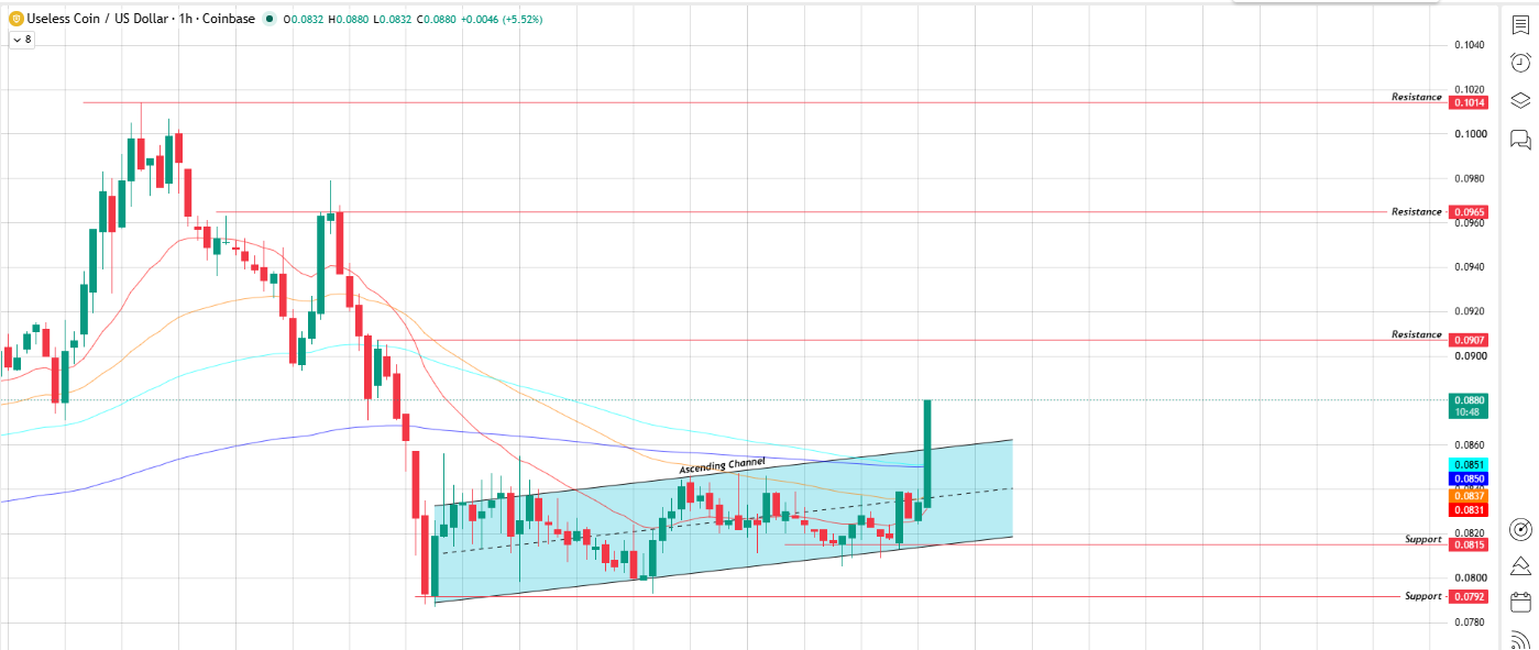 Short-Term Setup of Useless Short-Term Setup of Useless