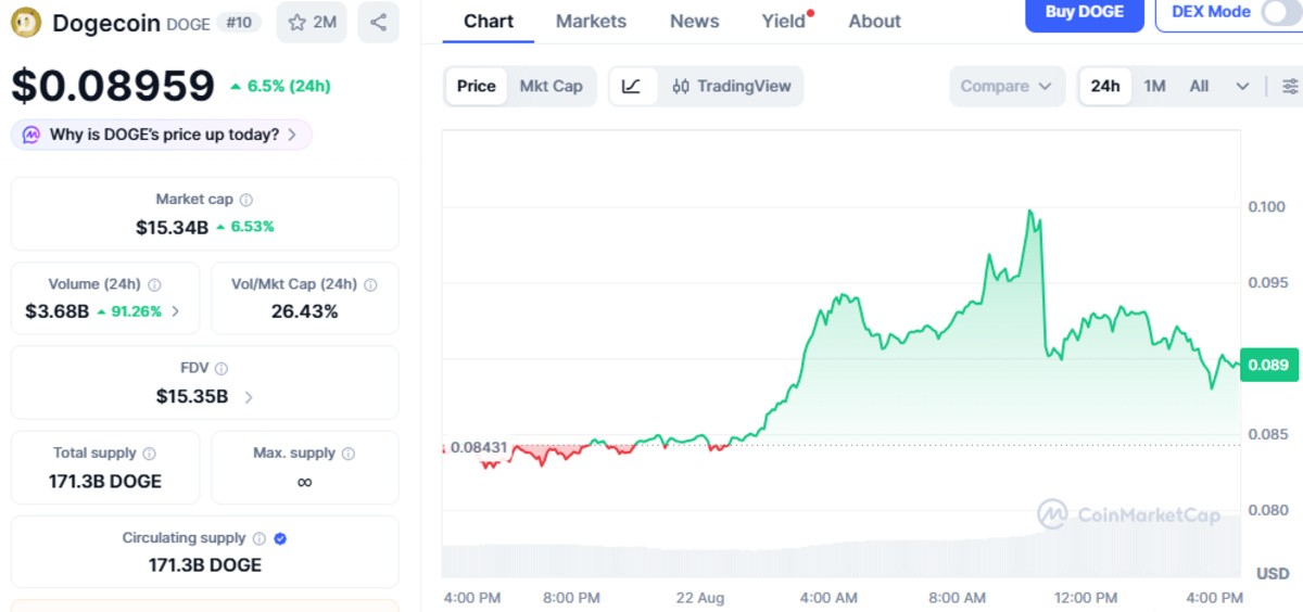 CoinMarketCap chart of Dogecoin showing live market details