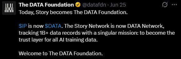 Data Foundation IP Rebrands Data Foundation IP Rebrands