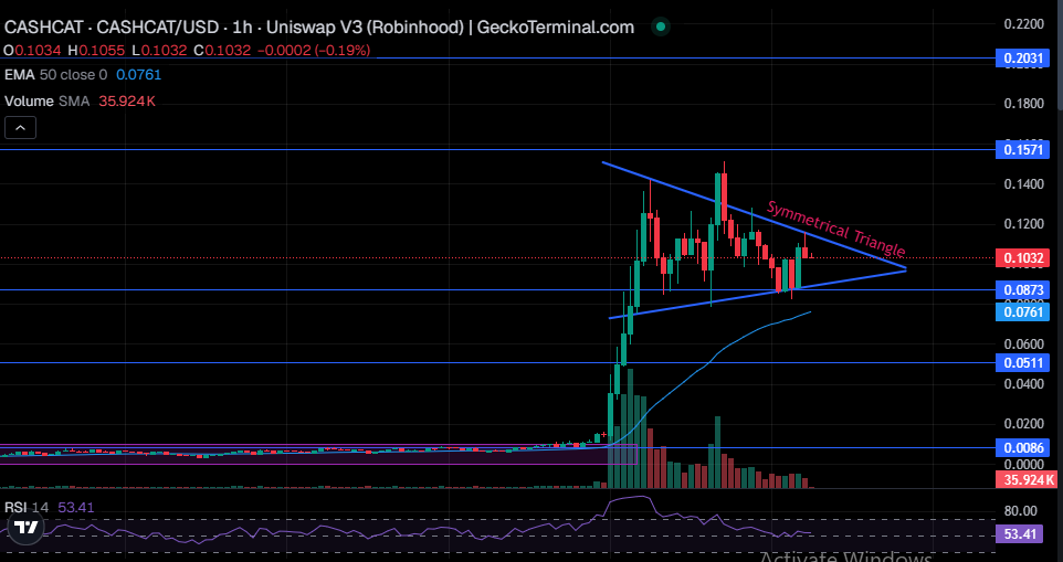 CASHCAT Technical Price Analysis